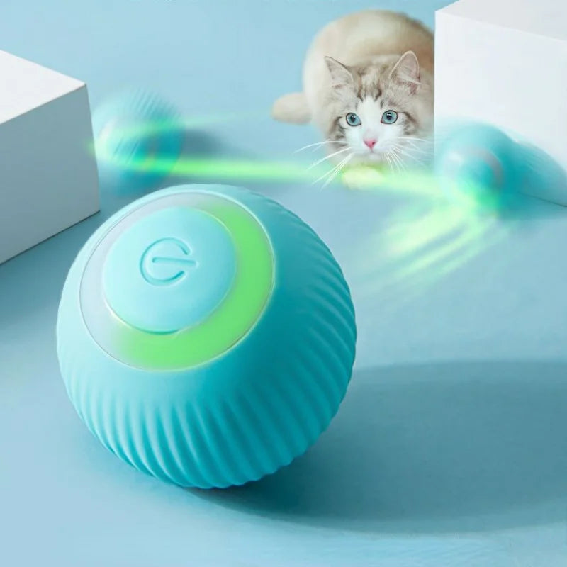 Pet Automatic Rolling Cat Toy Training Kitten