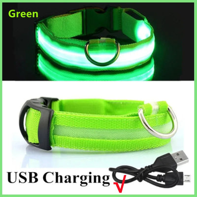 USB Rechargeable Luminous Collar Adjustable