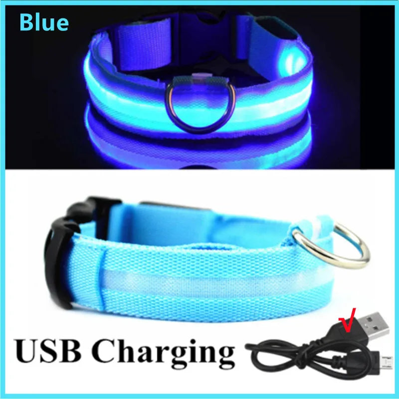 USB Rechargeable Luminous Collar Adjustable