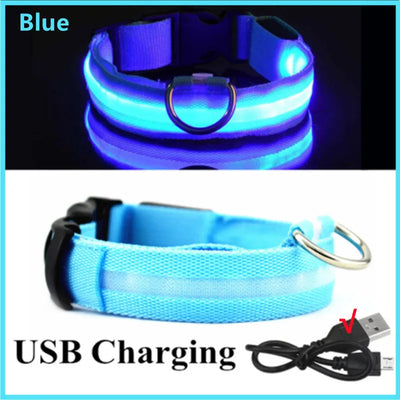 USB Rechargeable Luminous Collar Adjustable