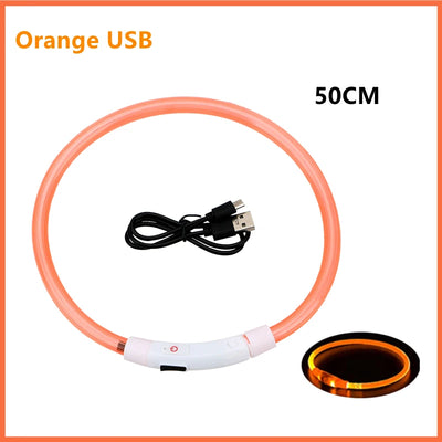 USB Rechargeable Luminous Collar Adjustable