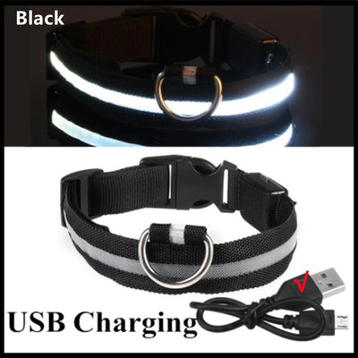 USB Rechargeable Luminous Collar Adjustable
