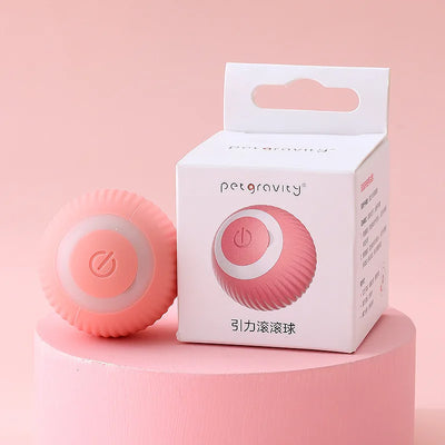 Pet Automatic Rolling Cat Toy Training Kitten