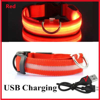 USB Rechargeable Luminous Collar Adjustable