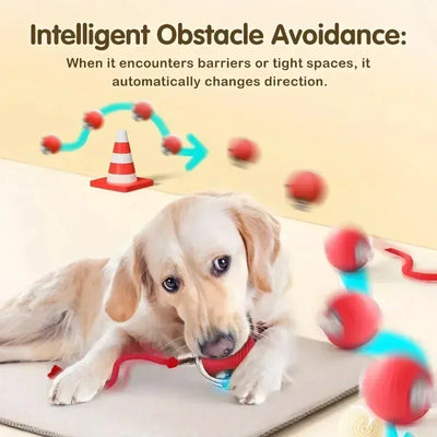 Cat Interactive Ball Toy, Automatic Rolling