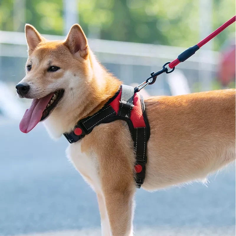 Pet Dogs Adjustable Harness Small and Large