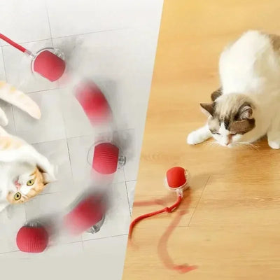 Cat Interactive Ball Toy, Automatic Rolling