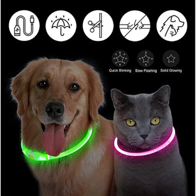 USB Rechargeable Luminous Collar Adjustable