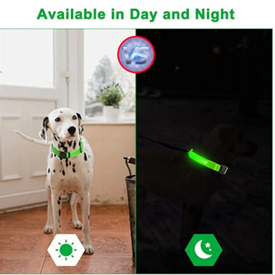 USB Rechargeable Luminous Collar Adjustable