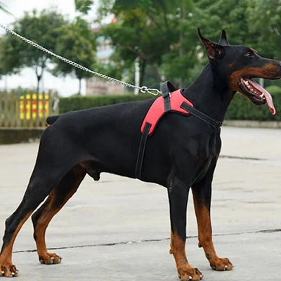 Pet Dogs Adjustable Harness Small and Large