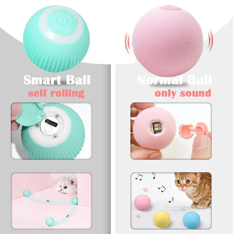 Pet Automatic Rolling Cat Toy Training Kitten