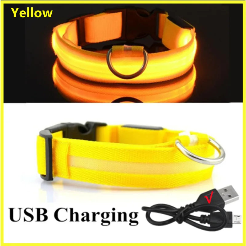 USB Rechargeable Luminous Collar Adjustable