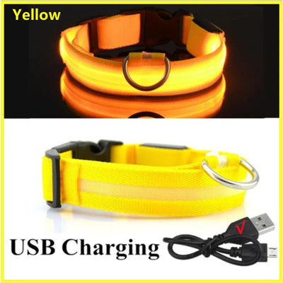 USB Rechargeable Luminous Collar Adjustable
