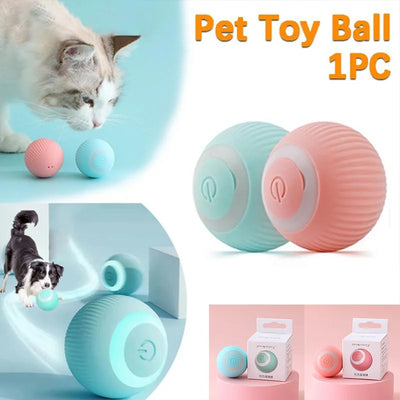 Pet Automatic Rolling Cat Toy Training Kitten