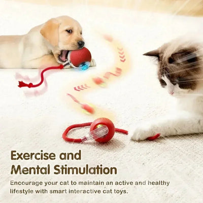 Cat Interactive Ball Toy, Automatic Rolling