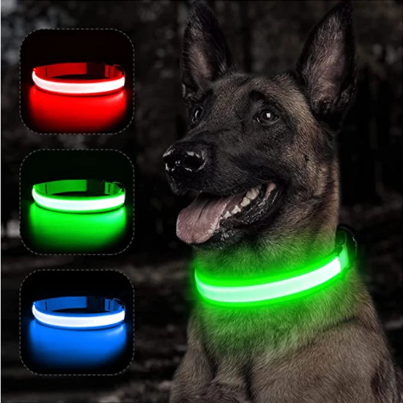 USB Rechargeable Luminous Collar Adjustable
