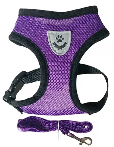 Cat Dog Harness with Lead Leash Adjustable
