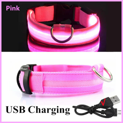 USB Rechargeable Luminous Collar Adjustable