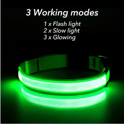 USB Rechargeable Luminous Collar Adjustable