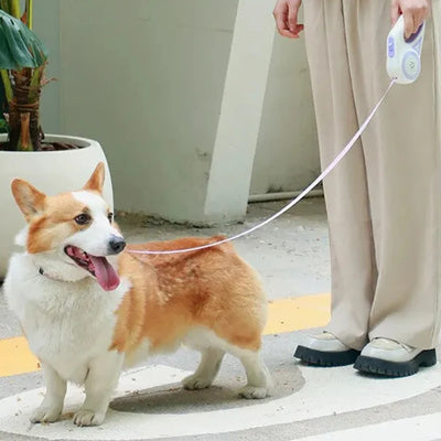 Automatic Retractable Dog Leash  Flashlight,