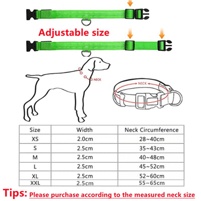 USB Rechargeable Luminous Collar Adjustable