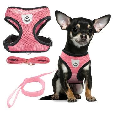 Cat Dog Harness with Lead Leash Adjustable